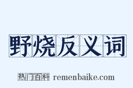 野烧反义词是什么意思的图片